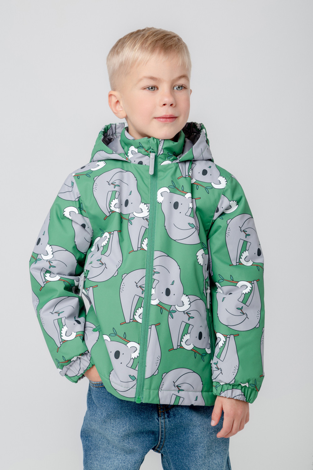 картинка Куртка утепленная для мальчика Crockid ВК 30126/н/2 ГР от магазина детских товаров ALiSa