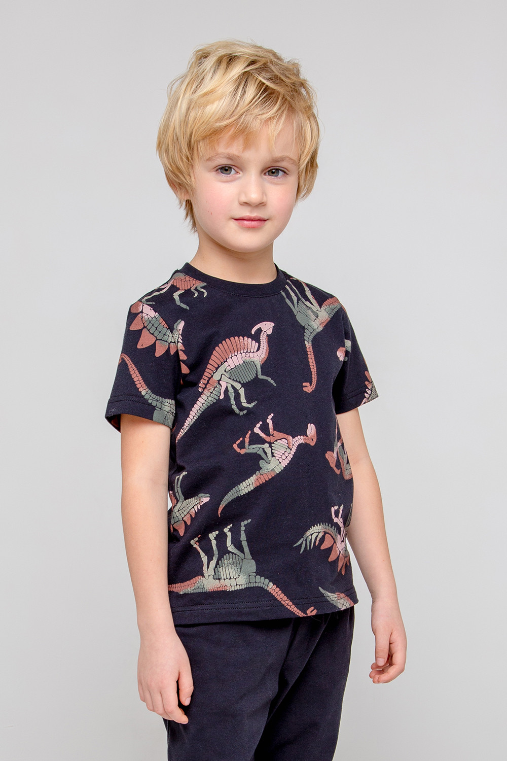 картинка Футболка для мальчика Crockid КР 301858 черный, динозавры к344 от магазина детских товаров ALiSa