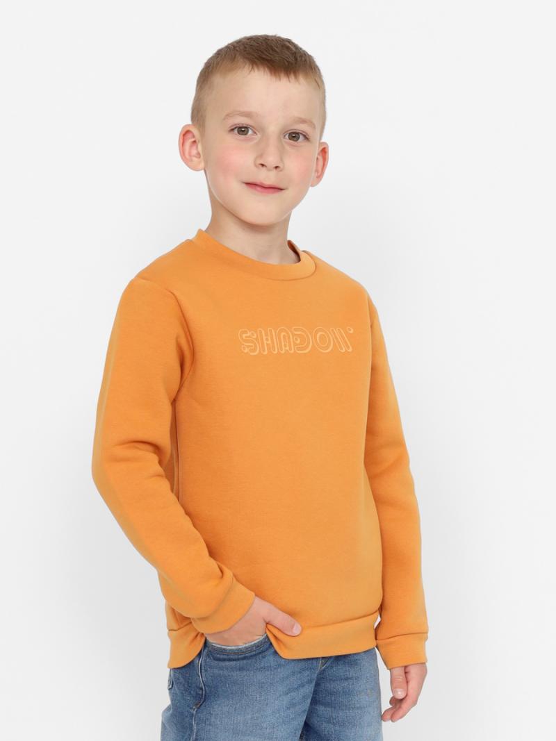 картинка Толстовка для мальчика Cherubino CWKB 63685-30 Желтый от магазина детских товаров ALiSa