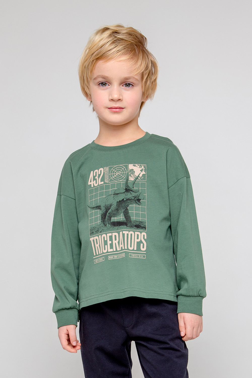 картинка Джемпер для мальчика Crockid КР 301860 лесной мох к344 от магазина детских товаров ALiSa