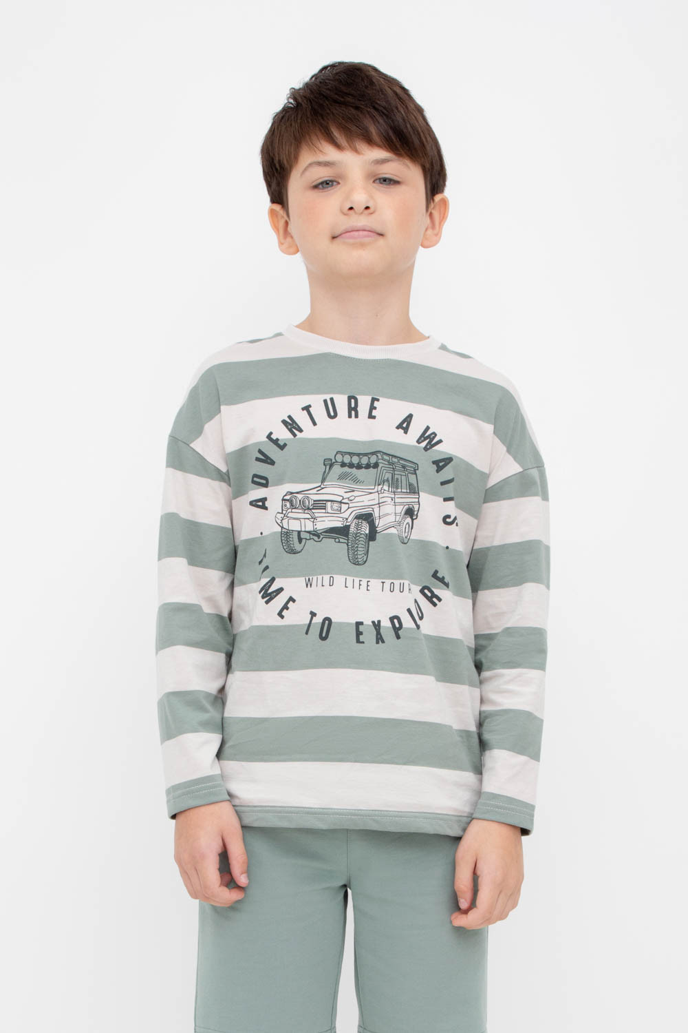 картинка Джемпер для мальчика Crockid КР 302237 бежевый, полынь, полоска к426 от магазина детских товаров ALiSa
