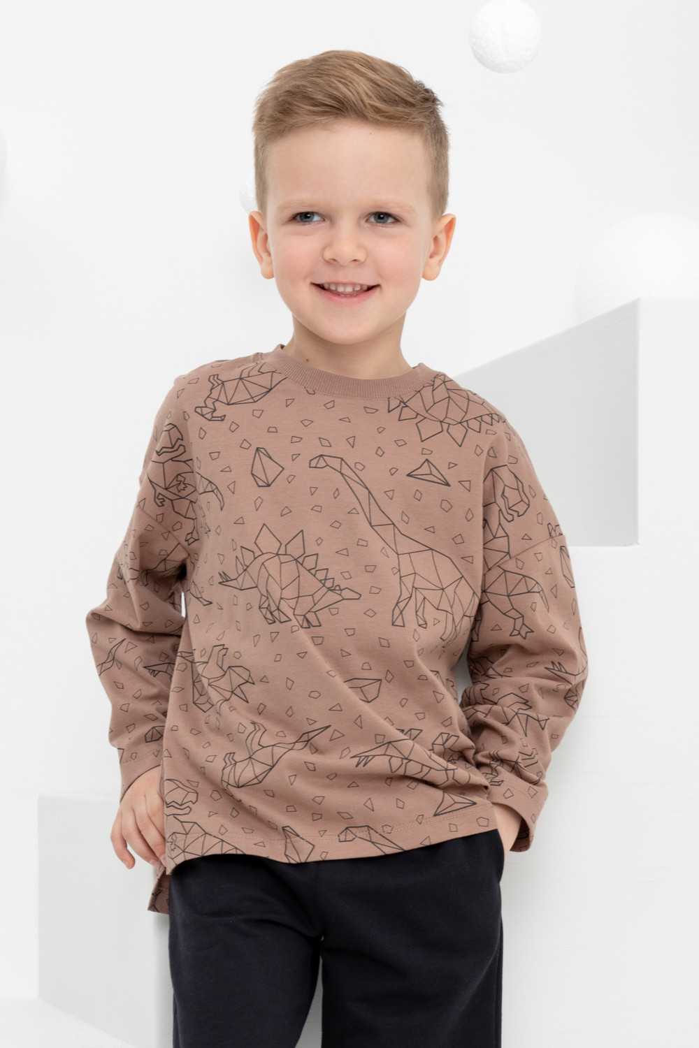 картинка Джемпер для мальчика Crockid КР 302158 холодный какао, динозавры к402 от магазина детских товаров ALiSa