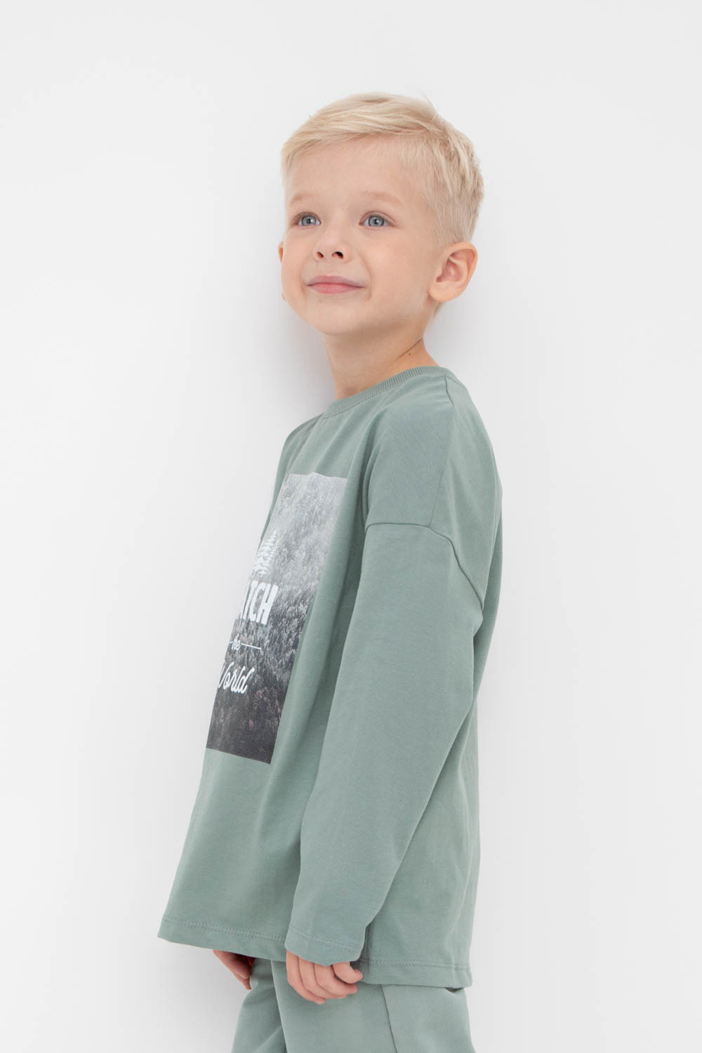 картинка Джемпер для мальчика Crockid КР 302256 полынь к424 от магазина детских товаров ALiSa